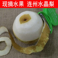 連州高山水晶梨60斤