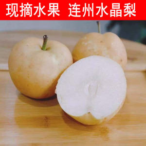 連州高山水晶梨100斤